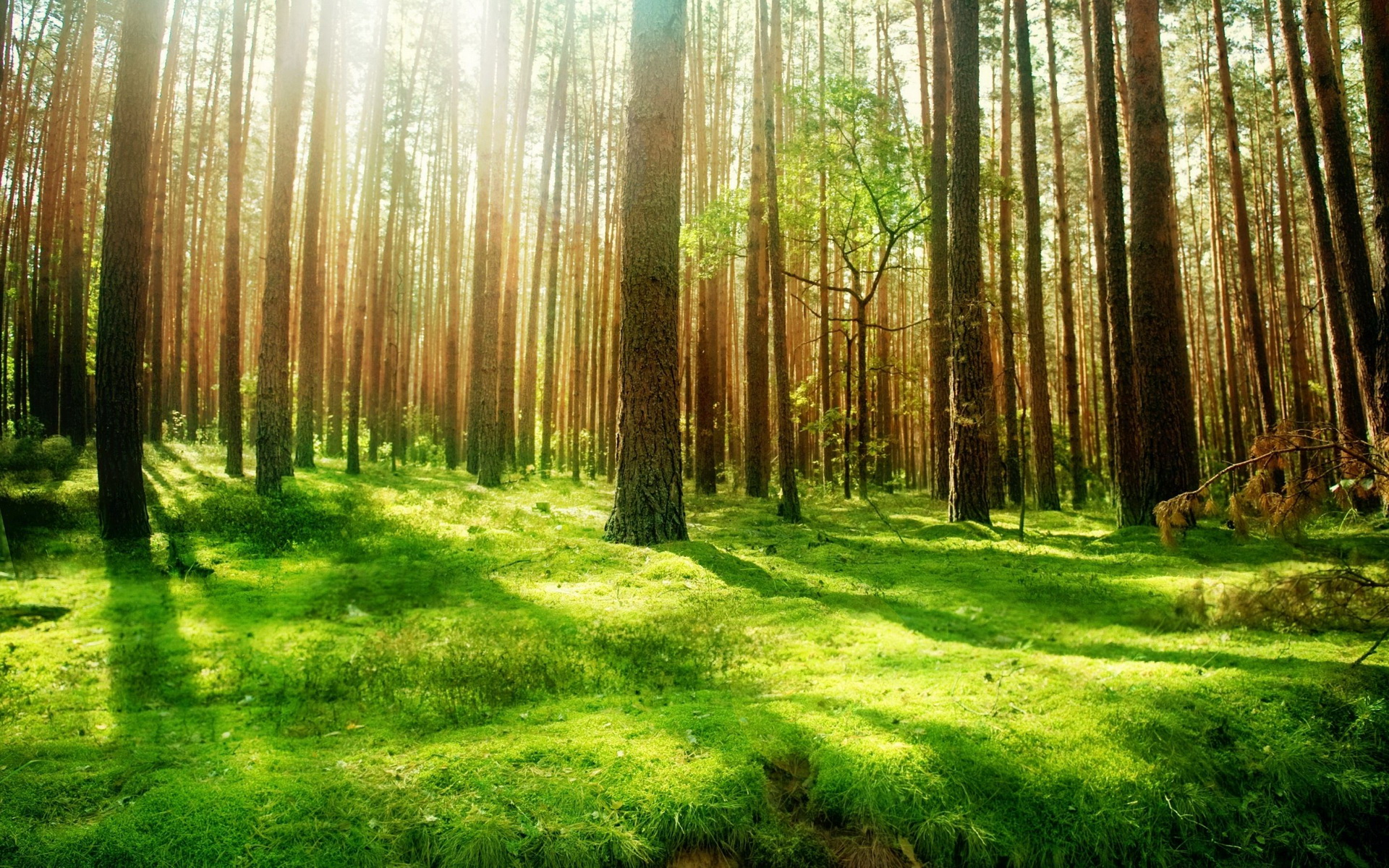 Background